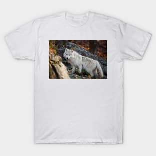 Arctic Wolf T-Shirt